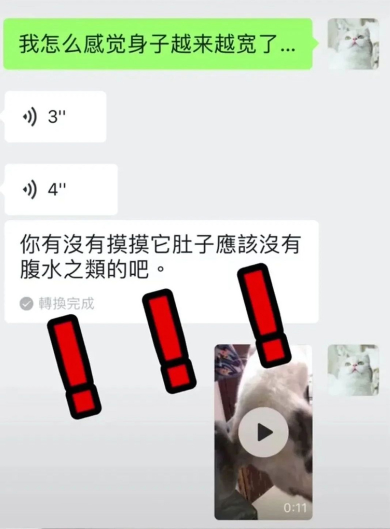猫咪胀气和猫传腹有什么区别,猫咪肥胖还会有原始袋么