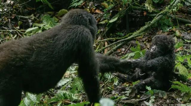 你在搞笑吗韩语,bbc搞笑视频