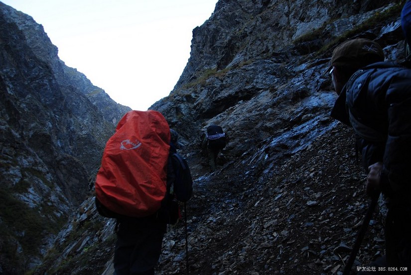 狼c调简谱教唱,狼c