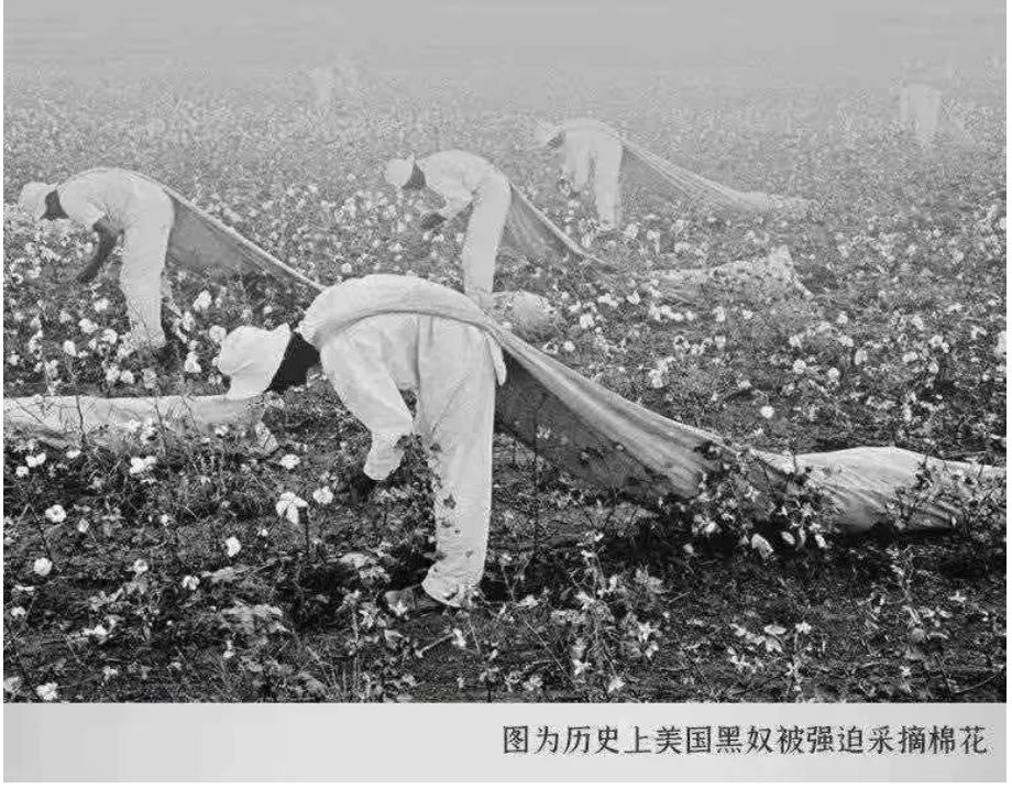 hm换新疆棉了吗,hm新疆棉是啥