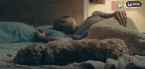 谢谢你治好了我的心脏,谢谢你治好了我的低血压