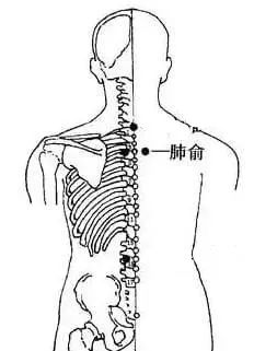 三伏灸三句半,肾阳虚三伏灸的穴位和方法