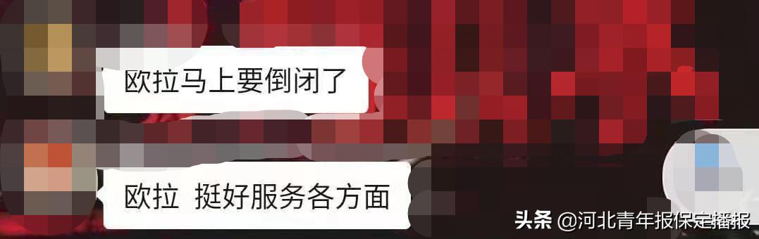 保定：“‘欧拉’要黄，‘滴滴’接手？”官方：目前一切正常