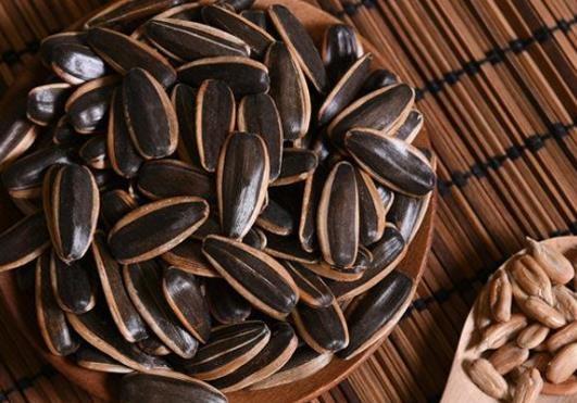 一粒瓜子成就一个梦想,一粒瓜子