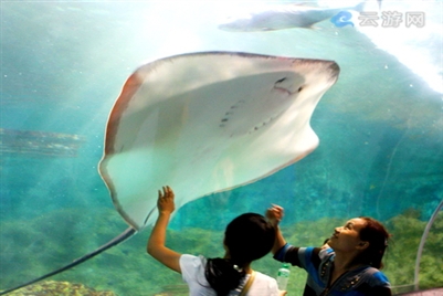深圳十大旅游景点英文介绍,深圳十大旅游景点自驾游
