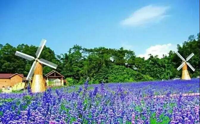 三英度假温泉广东周边攻略,增城三英温泉听泉阁1栋