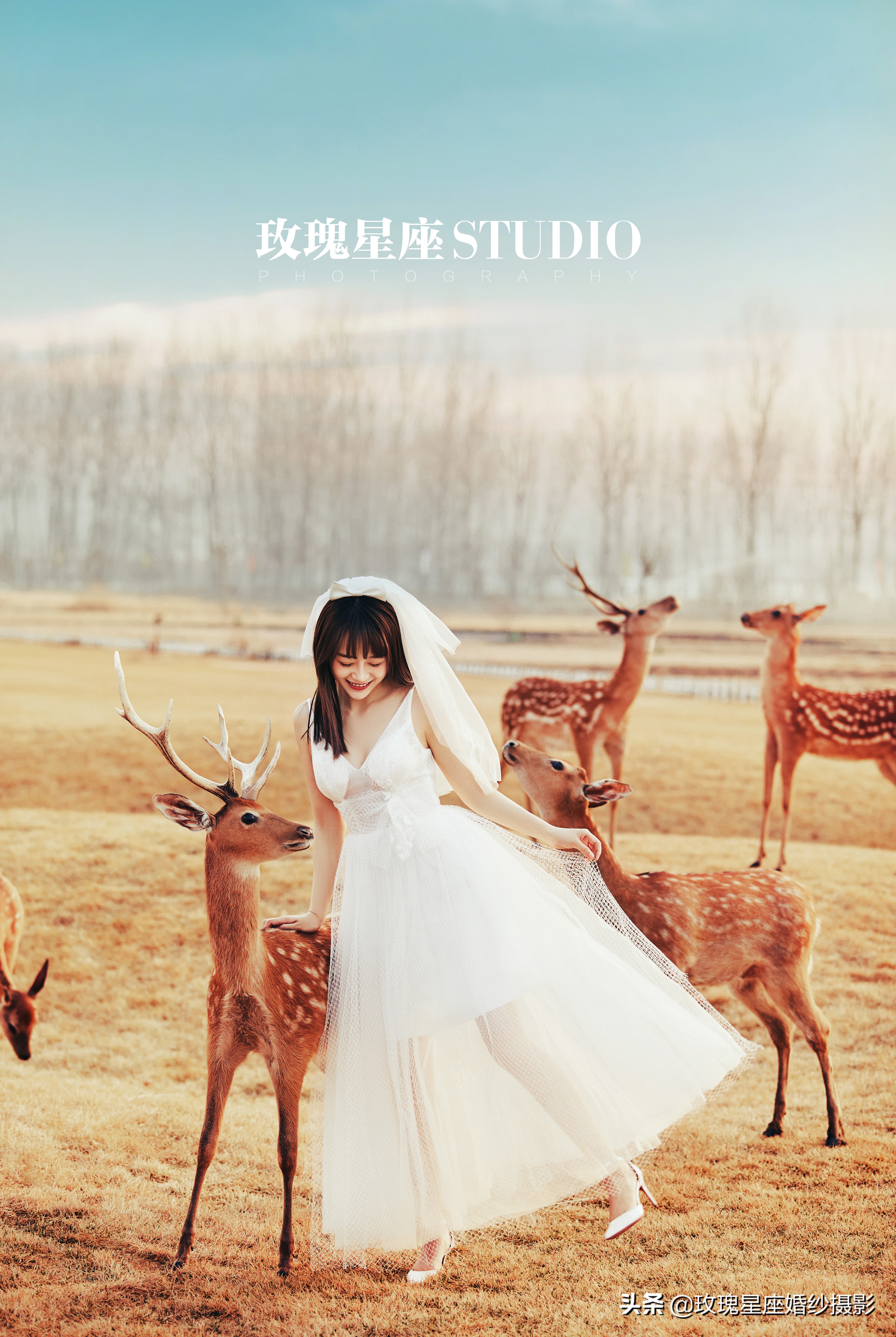 婚纱照都怎么拍最合适,拍婚纱照自己怎么拍才能好看呢