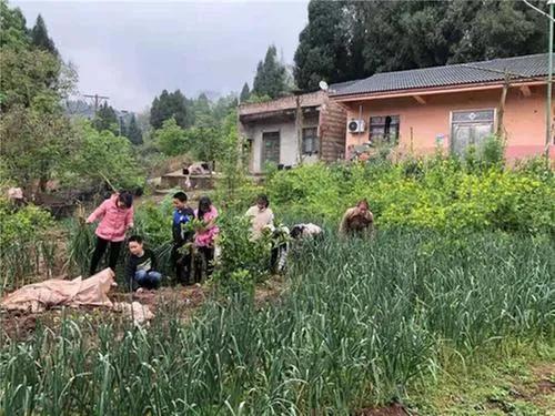 三尺讲台半生情——记嘉陵区双店乡屈家堰村竹林小学创始人杜骏