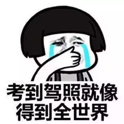 泗洪驾校考试通过率排行榜,白云区驾校通过率排名