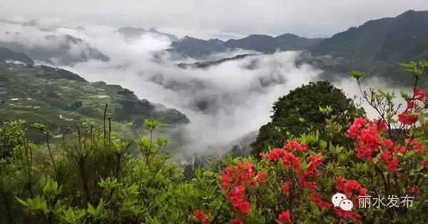宁波到庆元高铁什么时候可以开通,宁波直达黄山的高铁何时开通