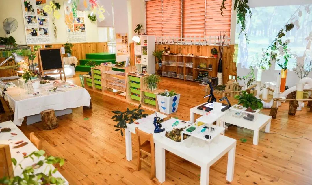 蒙特梭利和瑞吉欧幼儿教育对比,蒙特梭利和ib教育