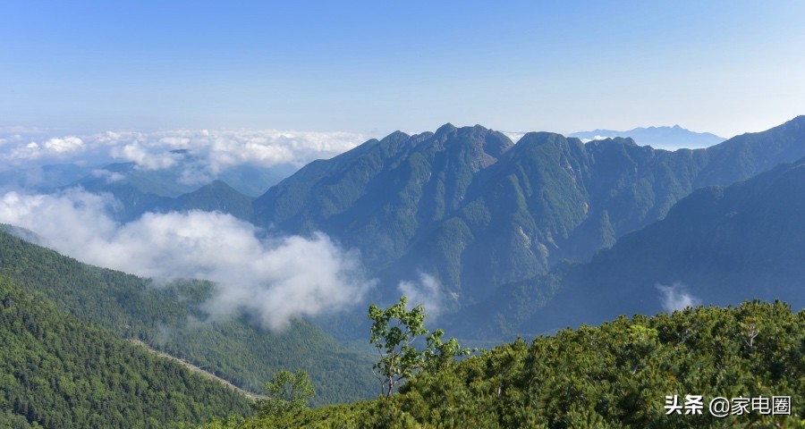 净水机果蔬消毒机“套路”老年人成风，卖健康不是靠忽悠