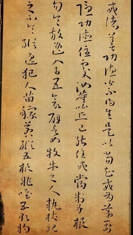 五合五乖,五乖五合什么意思