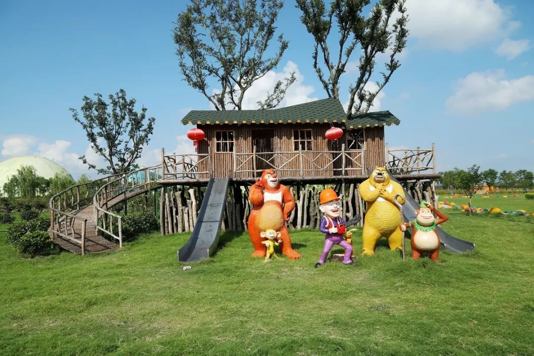 森氧之地，秋游必选！金湖万亩水上森林，真的别有趣味