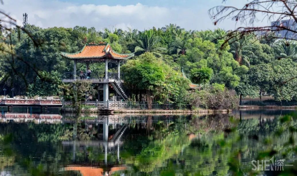 深圳千园之城计划,深圳千园之城风景