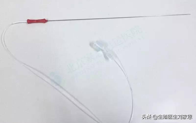 做试管婴儿取卵取精如何一次成功?害羞的知识又增加了