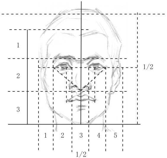 零基础怎样画最简单的素描教程,零基础的素描教程怎么画