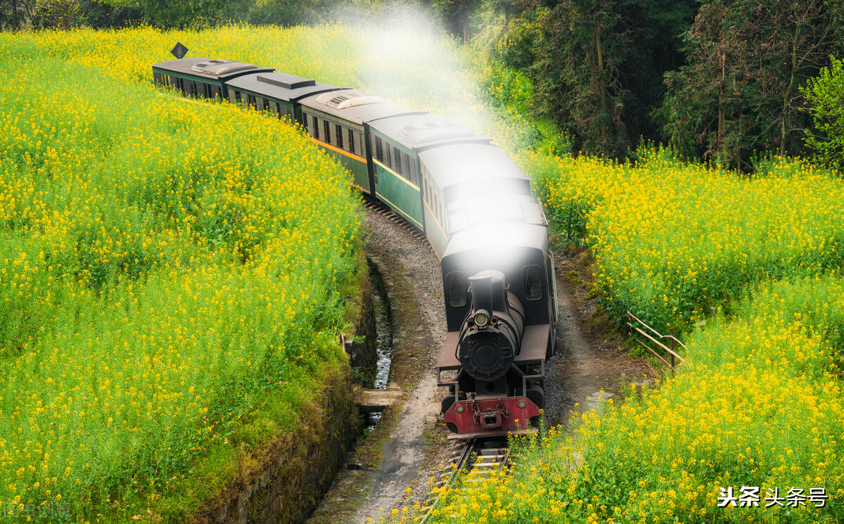 飞机失事的概率和车祸概率哪个大,飞机事故率和汽车事故率谁高