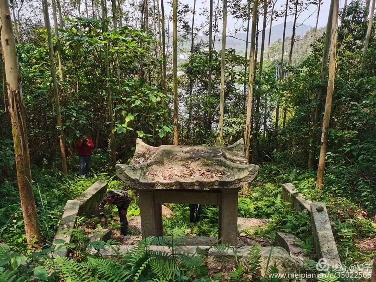 长泰县戴氏族谱,漳州市长泰县戴氏