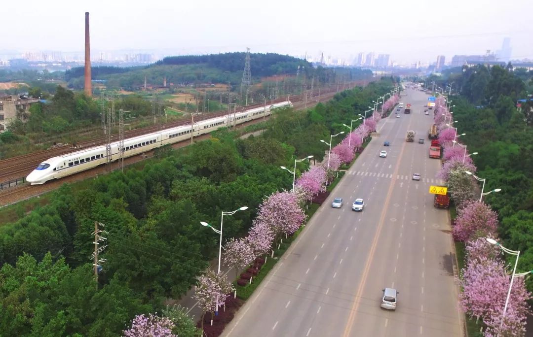 广西铁路客票最新消息,广西电子客票最新消息