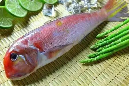 宁波一渔民整理海鲜大全,宁波最全的海鲜