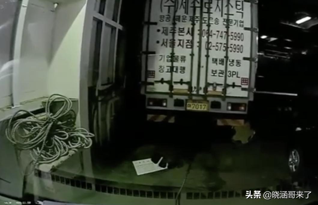 韩国世越号为什么学生不弃船,韩国世越号事件真相