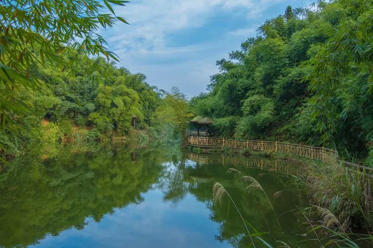 沐川竹海看雪,沐川竹海游玩视频