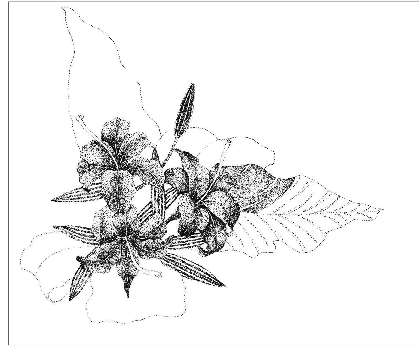 插画绘画教程纸绘,怎么画简单好看的插画教程