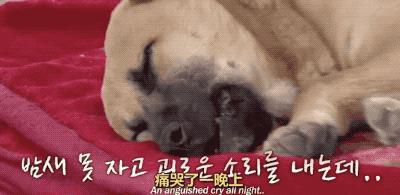 “割声带、截肢、电击，当爱变成我的噩梦”