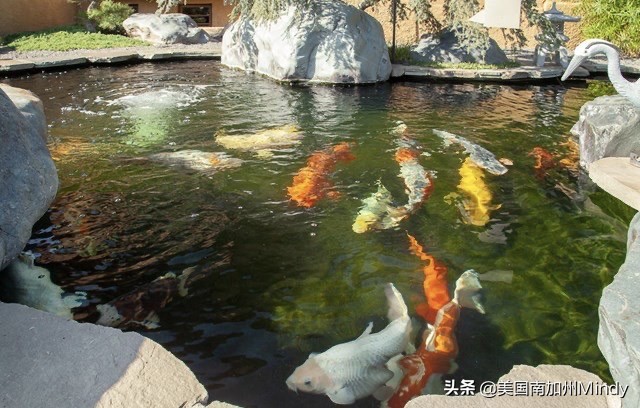 洛杉矶pasadena豪宅,洛杉矶pasadena顶层复式公寓