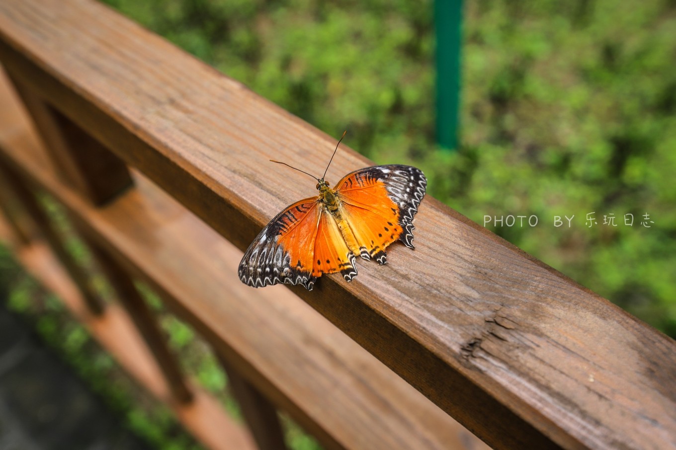享受鼎湖山绝美风景,换个角度的风景