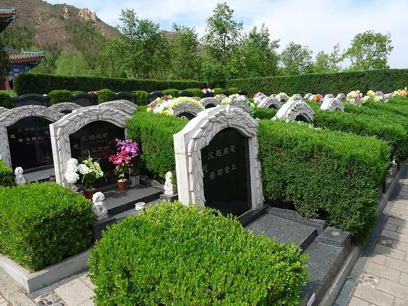 公墓被别人骨灰占了怎么处理,公墓没人缴费会怎么处理