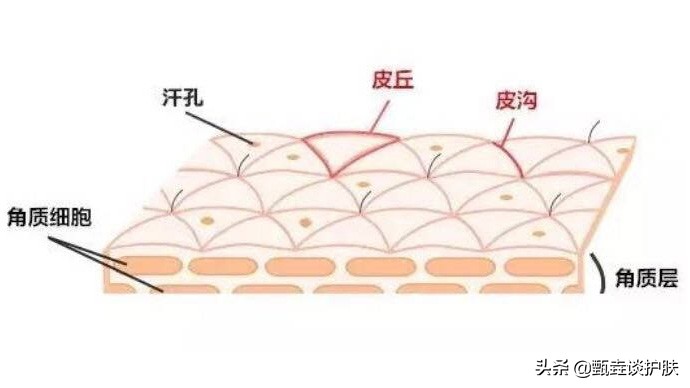 小孩身体皮肤粗糙怎么改善,青少年皮肤粗糙怎么改善