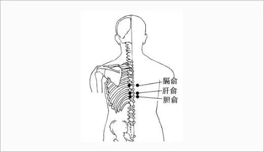 大腿疏通胆经的正确方法,胆经堵了腿会粗吗