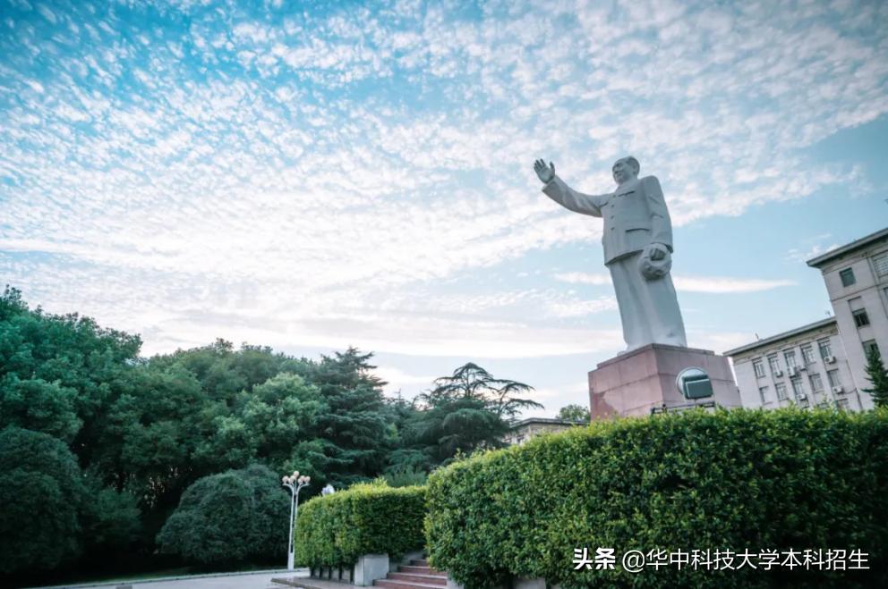 援鄂医疗队两名队员,援鄂医疗队员双胞胎