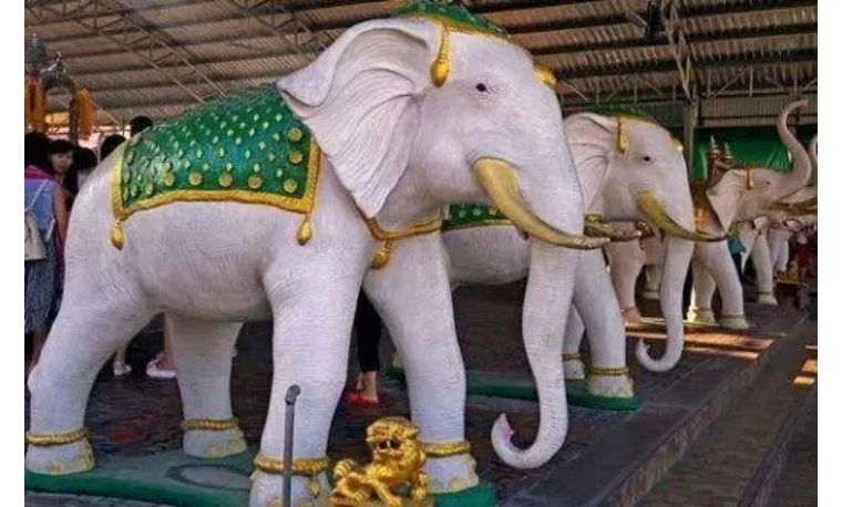 whiteelephant象征什么,whiteelephant代表什么含义
