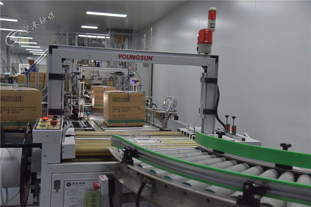 向更高质量发展迈进,向绿色转型要出路