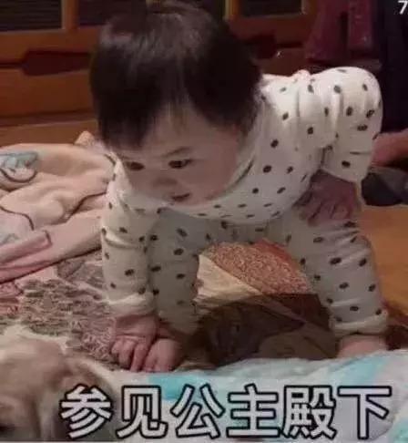 淘宝直播电商入门知识教程,淘宝电商直播问题