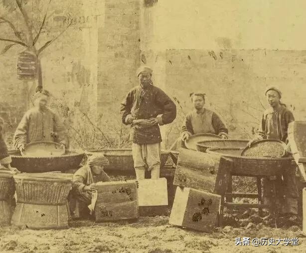 清朝的茶叶为什么是贸易品,清朝时期的茶叶贸易政策