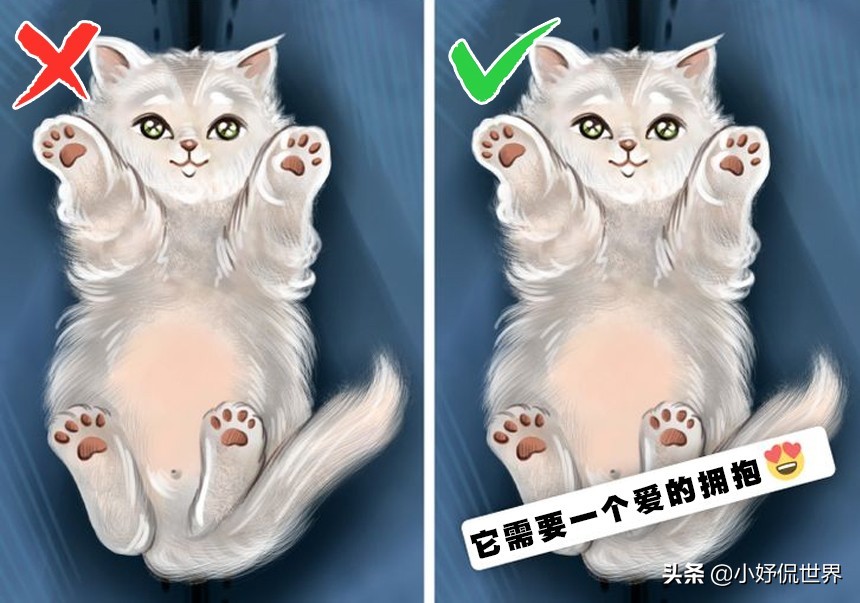 想成为网红很简单的方法,有什么办法可以成为网红