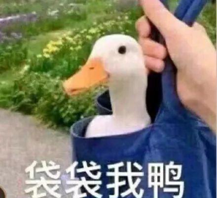 当年鄙视微商的，2020都活成了微商