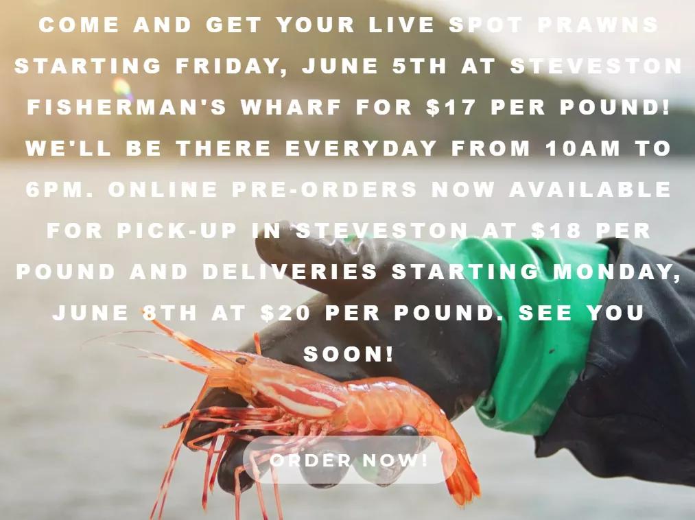 斑点虾开卖！最全购买地址请收好，还能网购加送货上门，给力