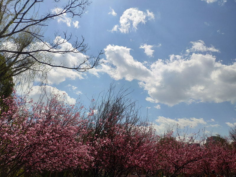 许氏家谱24字辈排名,许氏族谱24字辈大全