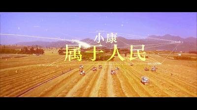 种植小松茸,牛粪种蘑菇技术姬松茸