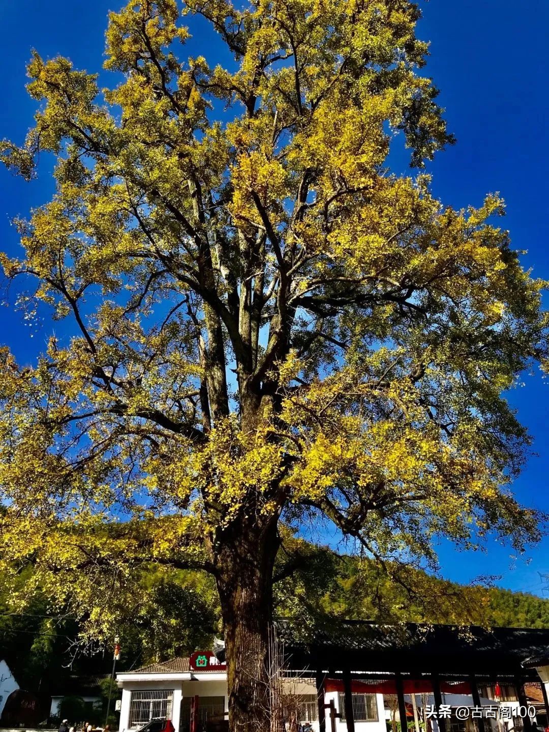 绍兴坡塘：范蠡商经发祥地 山阴道上画中游