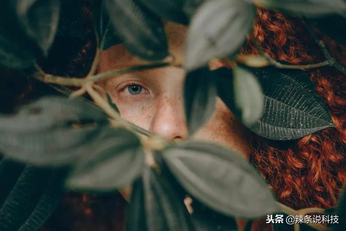 微信点赞记录,微信点赞记录清空了