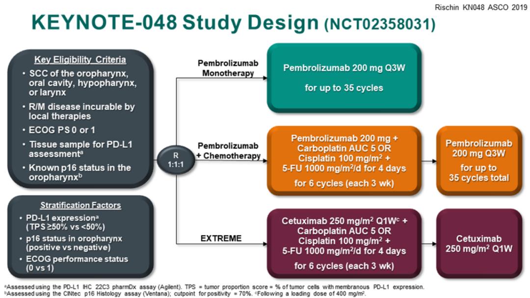 pdl-1治疗肺鳞癌,pd1治疗鳞状细胞癌