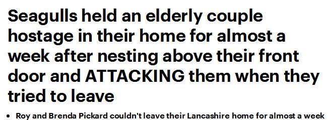 英国夫妇遭索马里海盗劫持,英国夫妇被绑架