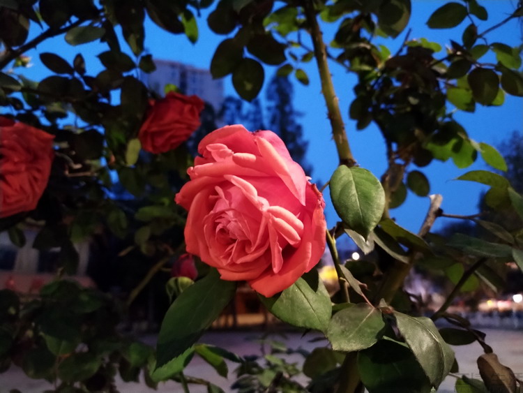 诺基亚x71评测,诺基亚x71有前后双摄吗