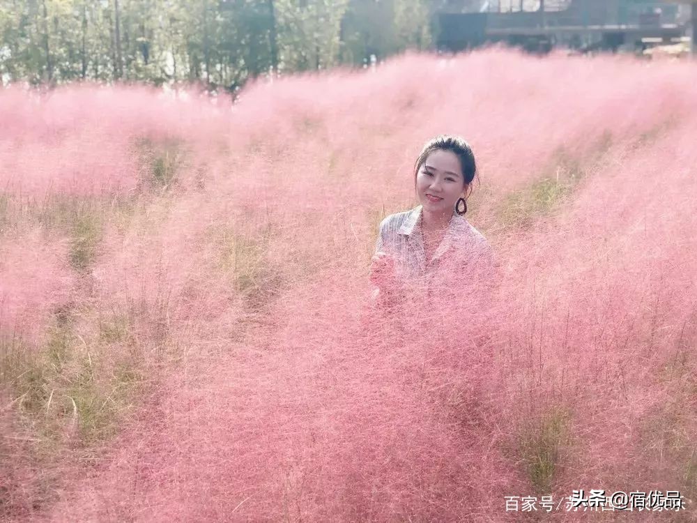 苏州太湖花海主题公园,太湖花海游乐场